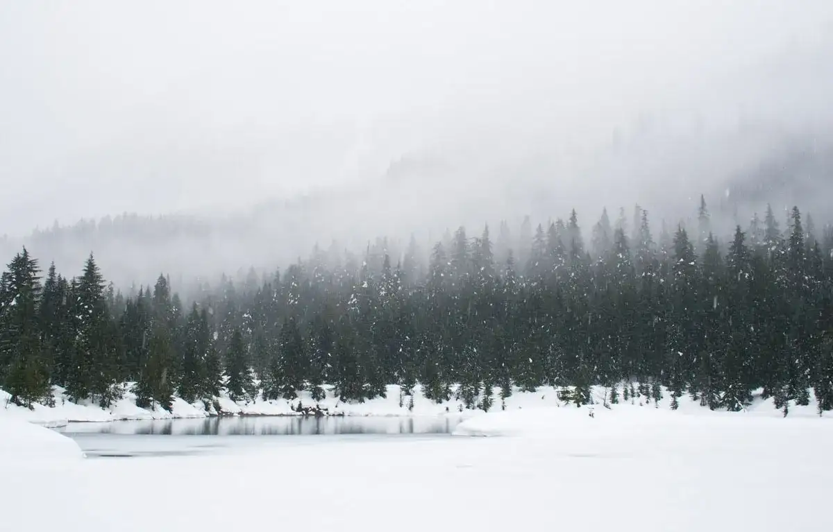 Cozy winter scene with snow and warm lights