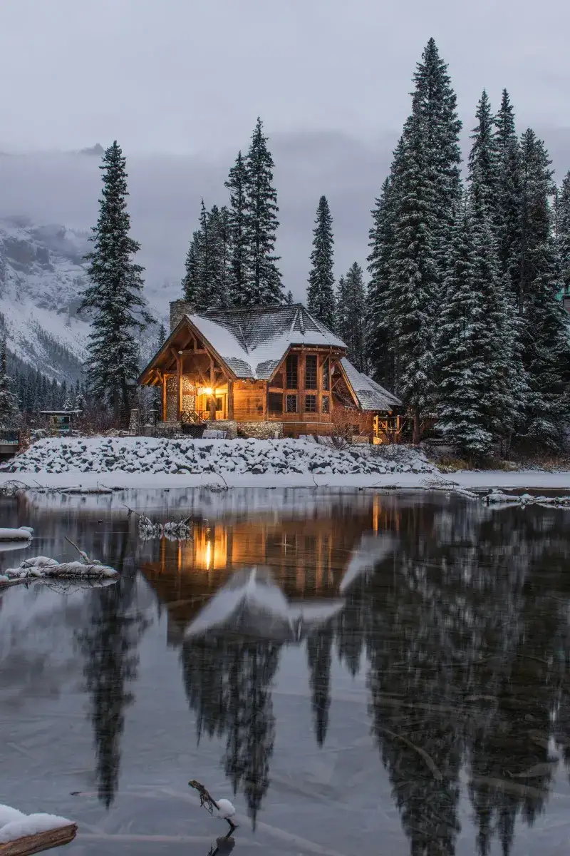 Snowy winter landscape