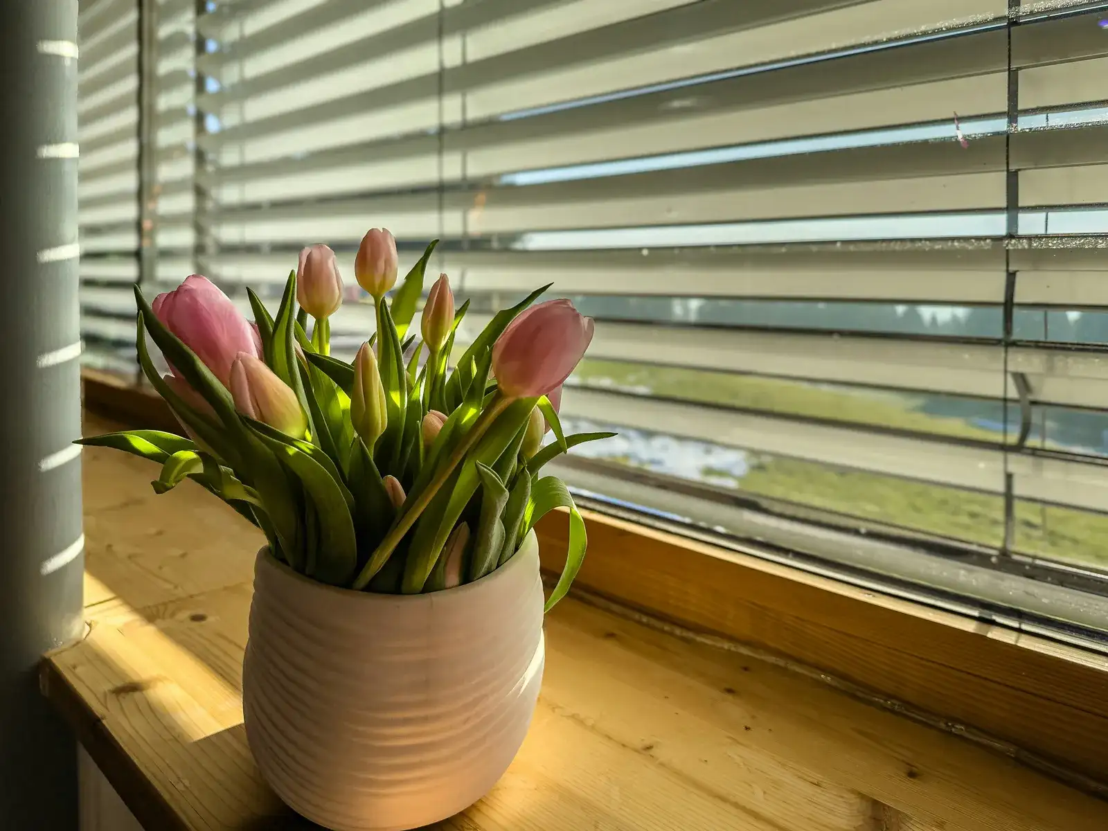 A vase of flowers sitting on a window sill