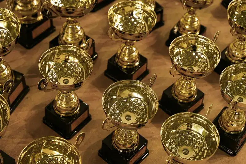 a bunch of trophies sitting on top of a table