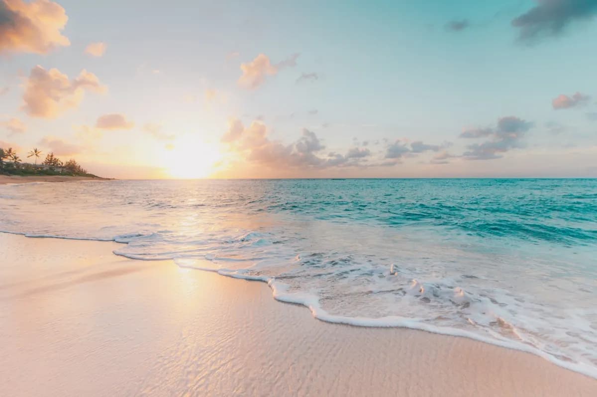 Beach with palm trees and blue water