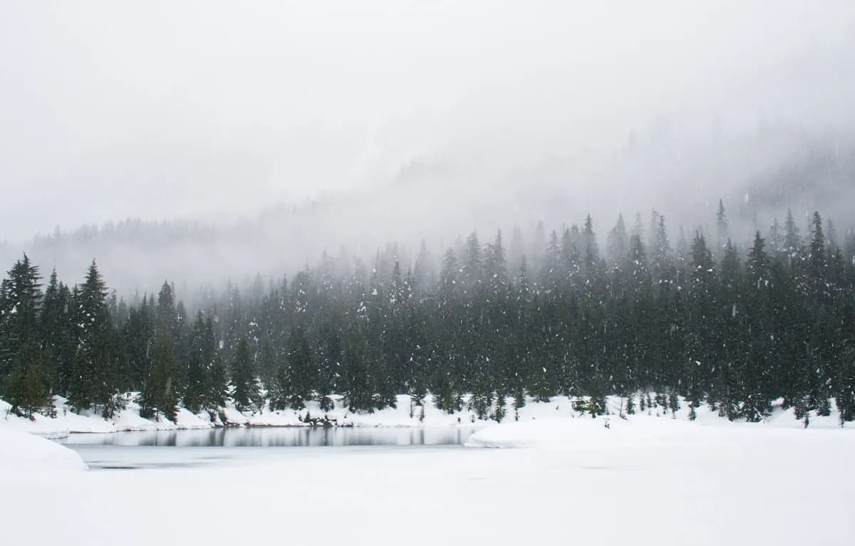 Cozy winter scene with snow and warm lights