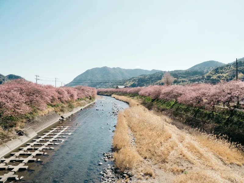 April countdown header photo