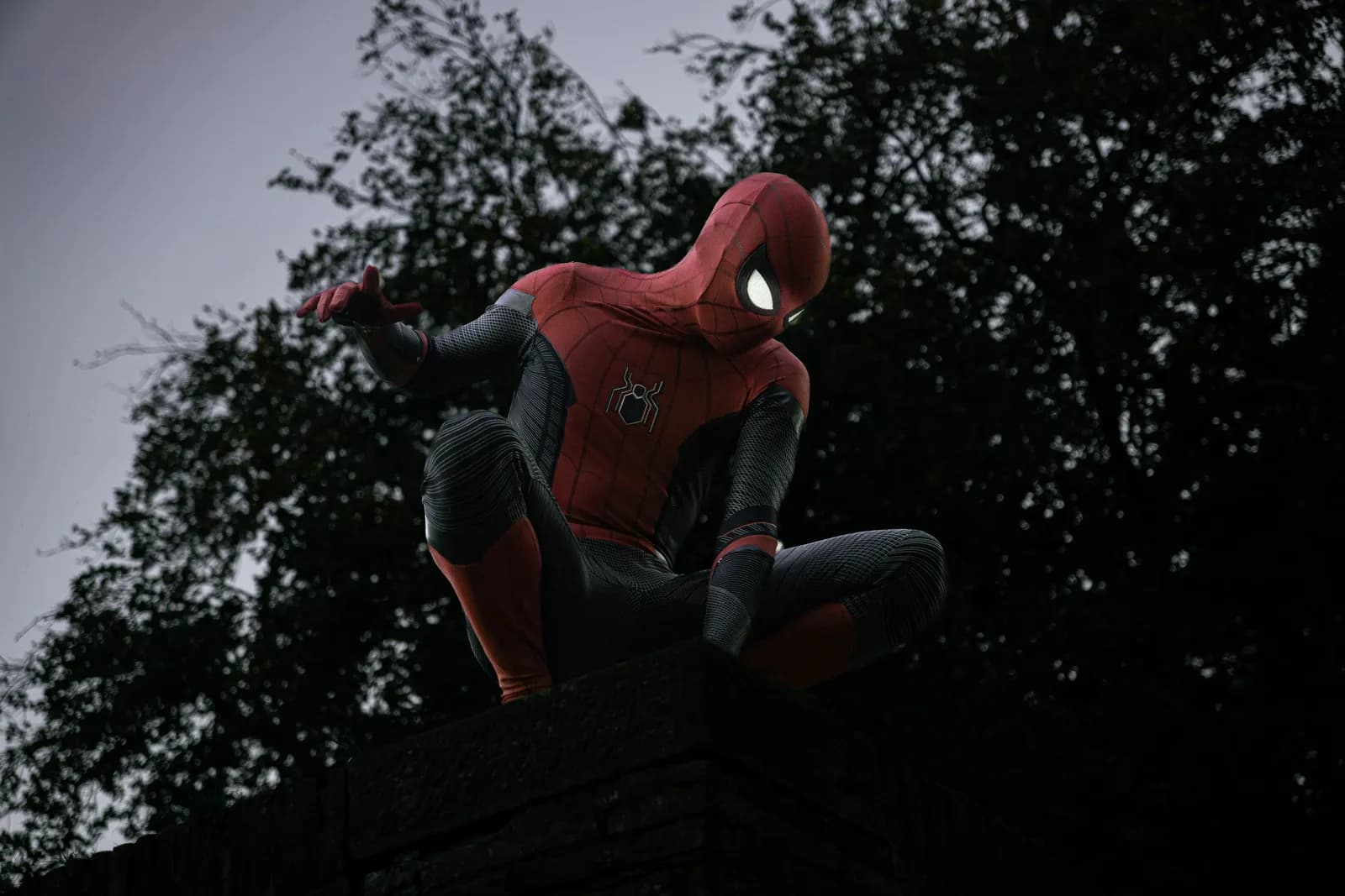 Spider-man crouches on a dark, leafy surface.
