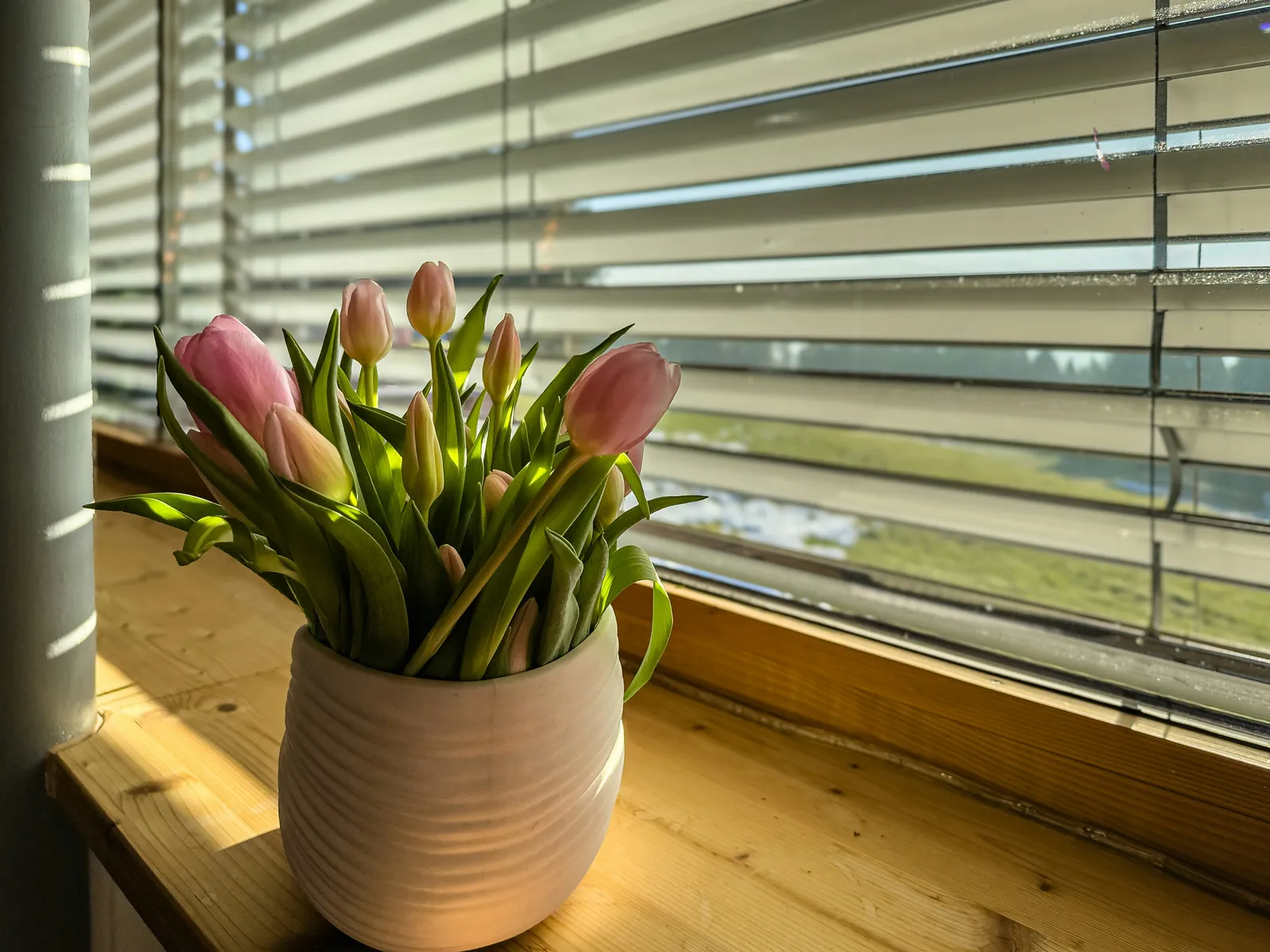 Daylight Saving Time Spring Forward