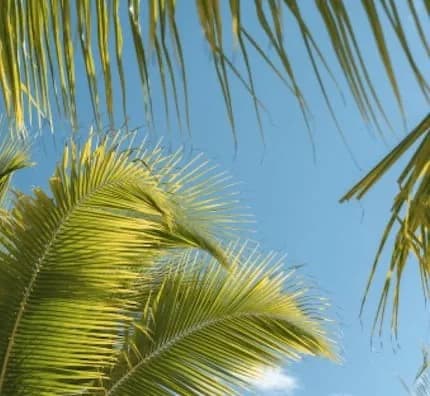 Summer countdown header photo