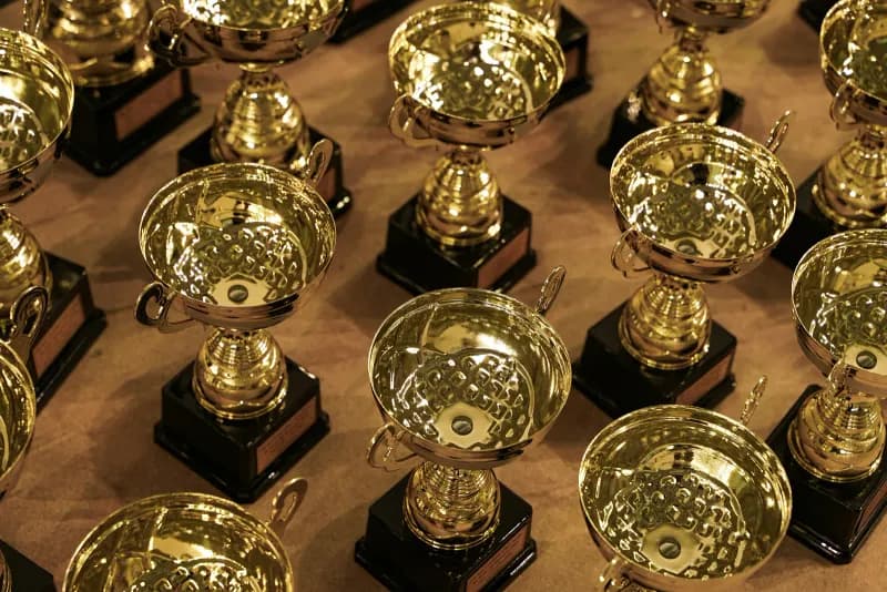 a bunch of trophies sitting on top of a table