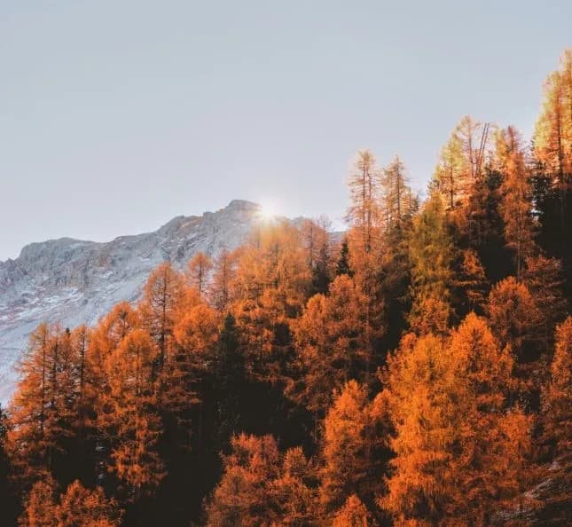 Calendar marked for First Day of Fall