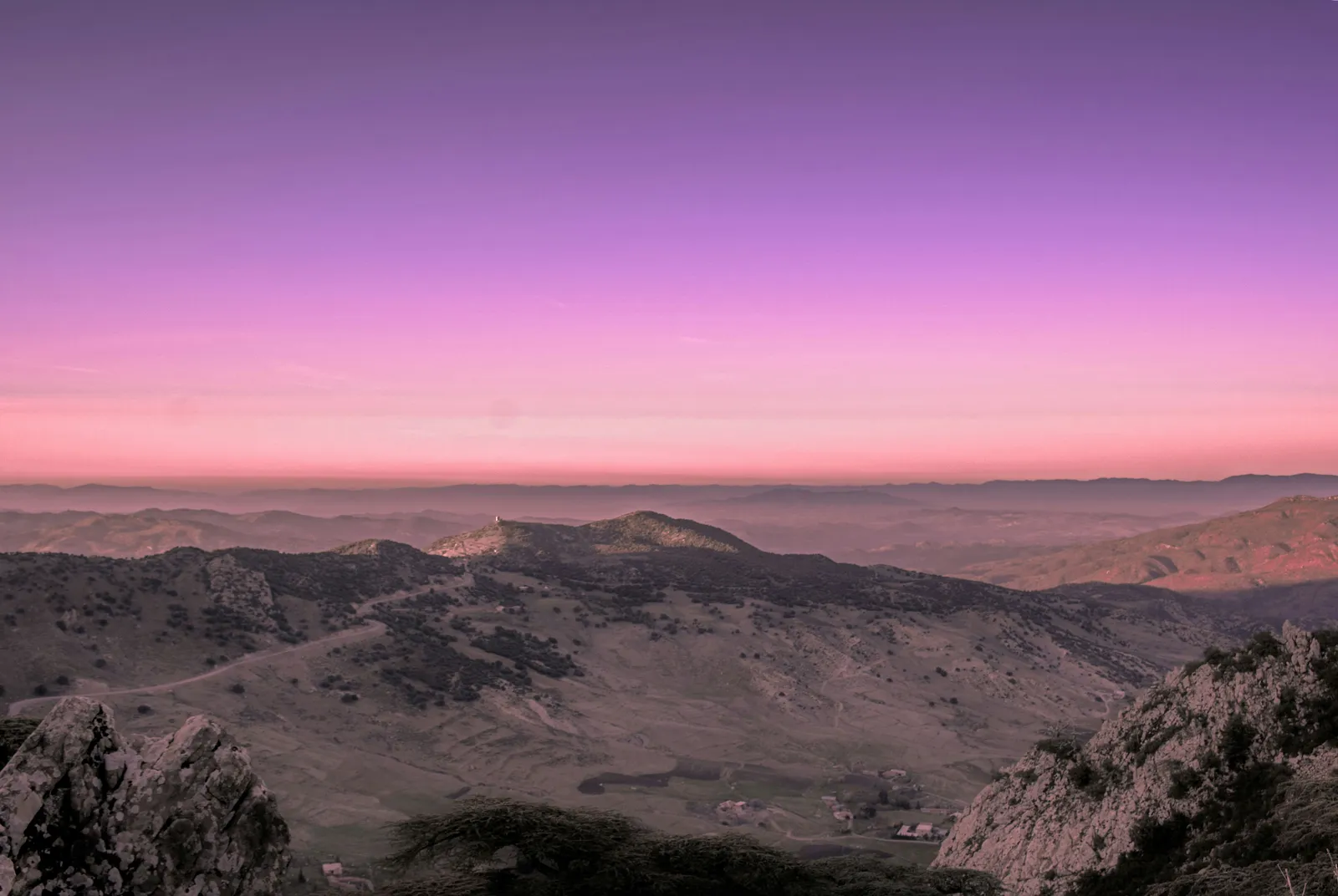 May countdown header photo