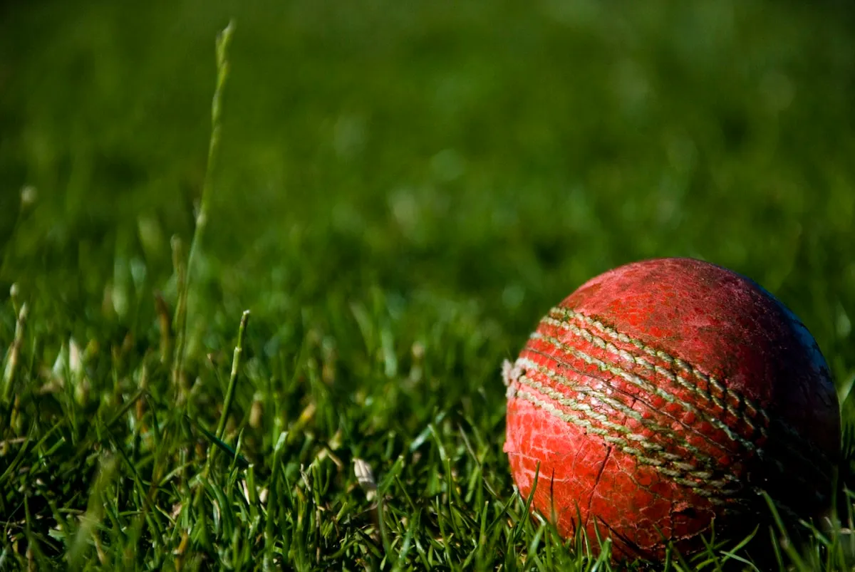 Cricket World Cup countdown