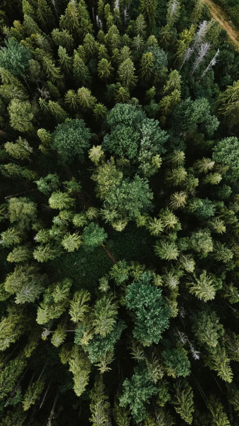 Earth Day